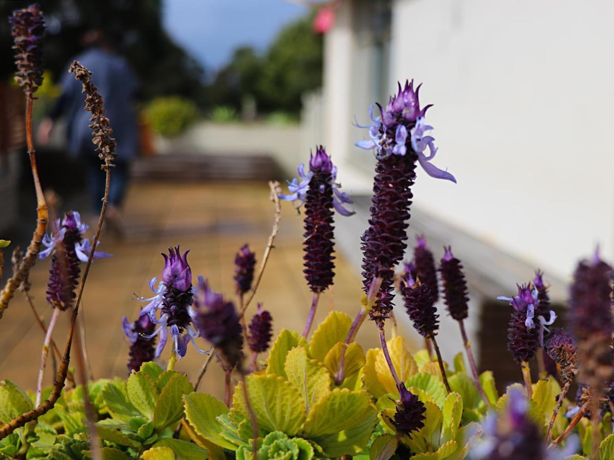 Bellum Hotel Mount Gambier Bagian luar foto